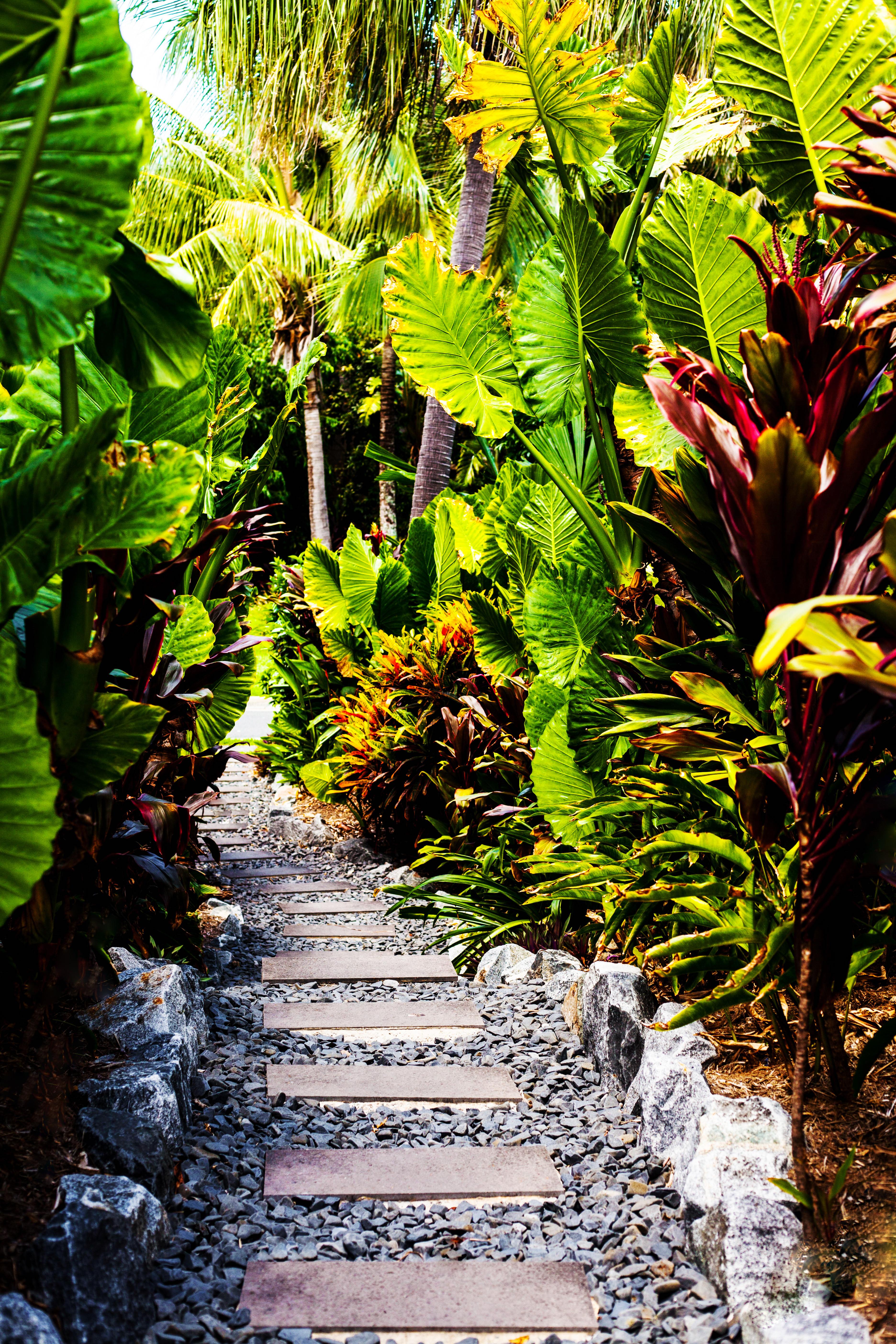 Hamilton Island Holiday Homes Buitenkant foto